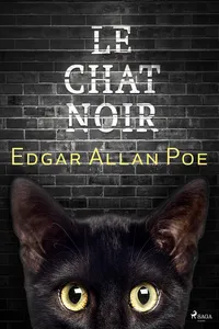 Le Chat noir_cover