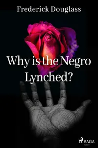 Why is the Negro Lynched?_cover