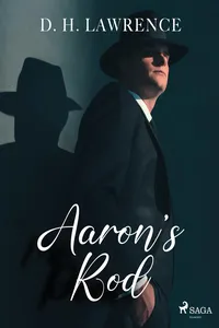 Aaron's Rod_cover