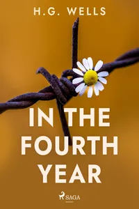In the Fourth Year_cover