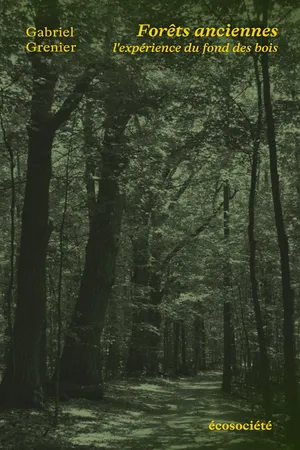Forêts anciennes