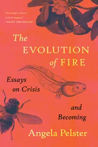 The Evolution of Fire