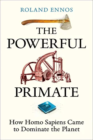 The Powerful Primate