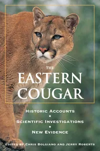 Eastern Cougar_cover