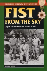 Fist From the Sky_cover