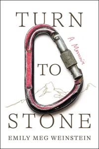 Turn to Stone_cover