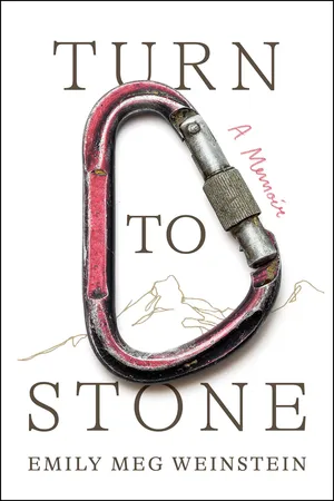 Turn to Stone