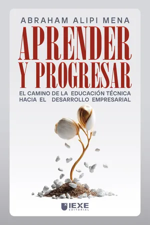 Aprender y Progresar: El camino de la educación técnica hacia el desarrollo empresarial