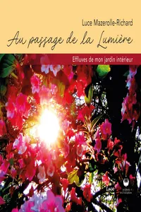 Au passage de la lumière_cover