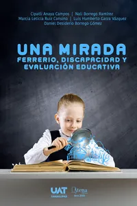 Una mirada: Ferrerio, discapacidad y evaluación educativa
