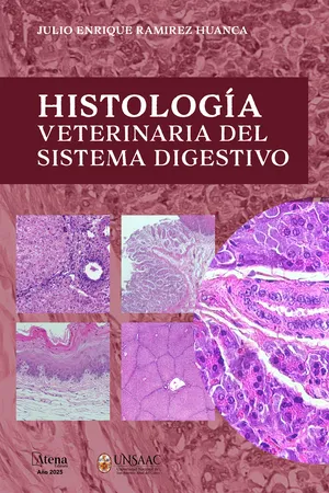 Histología veterinaria del sistema digestivo