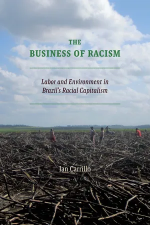 The Business of Racism