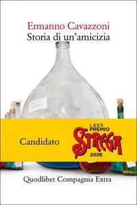 Storia di un'amicizia_cover