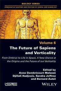 The Future of Sapiens and Verticality_cover