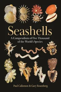Seashells_cover