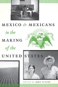 Mexico and Mexicans in the Making of the United States_cover