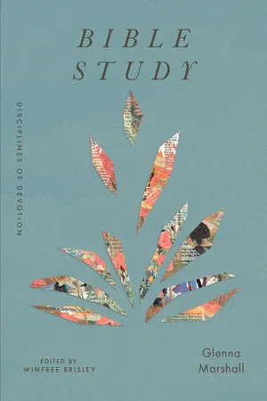 Bible Study