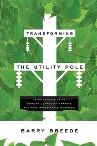 Transforming The Utility Pole_cover