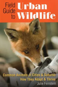Field Guide to Urban Wildlife_cover