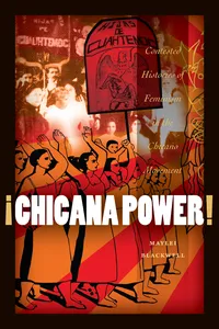 ¡Chicana Power!_cover