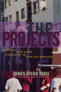 The Projects_cover