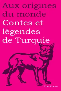 Contes et légendes de Turquie_cover