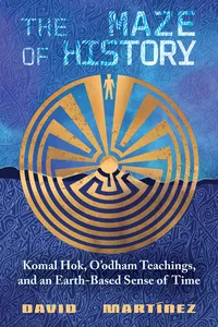 The Maze of History_cover