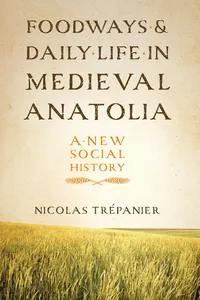 Foodways and Daily Life in Medieval Anatolia_cover