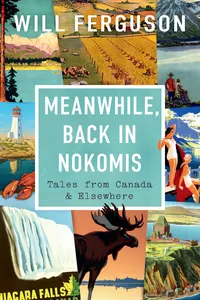 Meanwhile, Back in Nokomis_cover