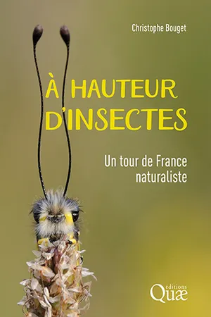 À hauteur d'insectes