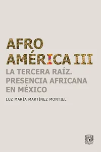 Afroamérica III La tercera raíz. Presencia africana en México_cover