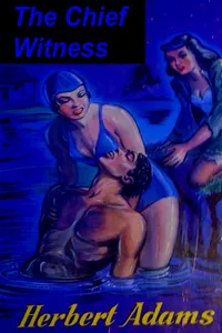 The Chief Witness_cover