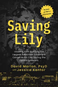 Saving Lily_cover