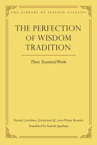 The Perfection of Wisdom Tradition_cover