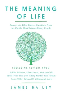 The Meaning of Life_cover