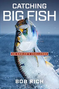 Catching Big Fish_cover