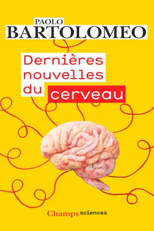 Dernières nouvelles du cerveau