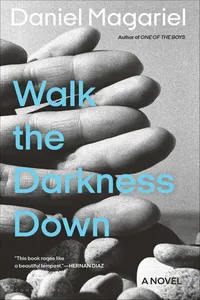 Walk the Darkness Down_cover