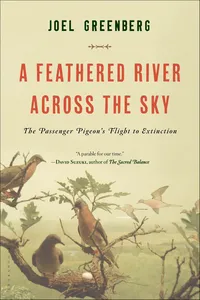 A Feathered River Across the Sky_cover