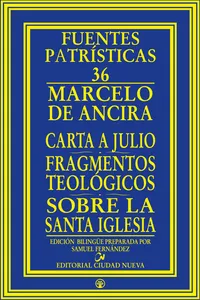 Carta a Julio - Fragmentos teológicos - Sobre la santa Iglesia