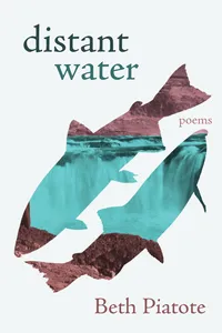distant water_cover