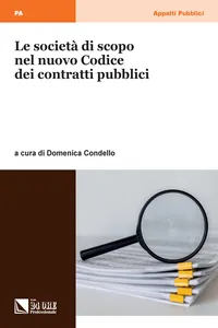 Le società di scopo nel nuovo Codice dei contratti pubblici