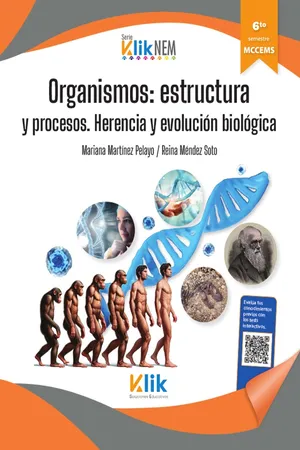 Organismos: estructura y procesos