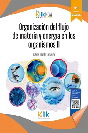 Organización del flujo de materia y energía en los organismos II