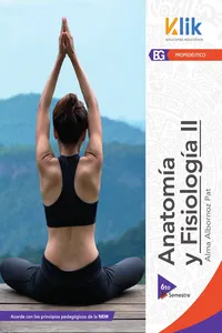 Anatomía y fisiología II