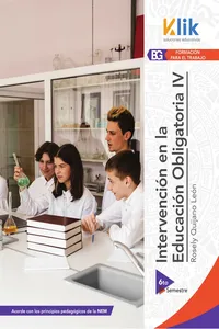 Capacitación en intervención en la educación obligatoria IV_cover