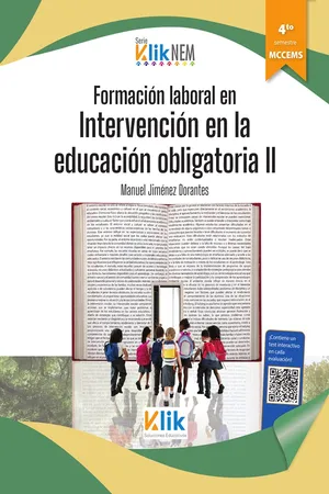 Formación laboral en intervención en la educación obligatoria II