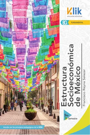 Estructura socioeconómica de México