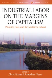 Industrial Labor on the Margins of Capitalism_cover