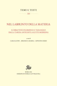 Nel labirinto della materia